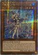 Water Enchantress of the Temple [BLMR-EN065] Quarter Century Secret Rare Sale